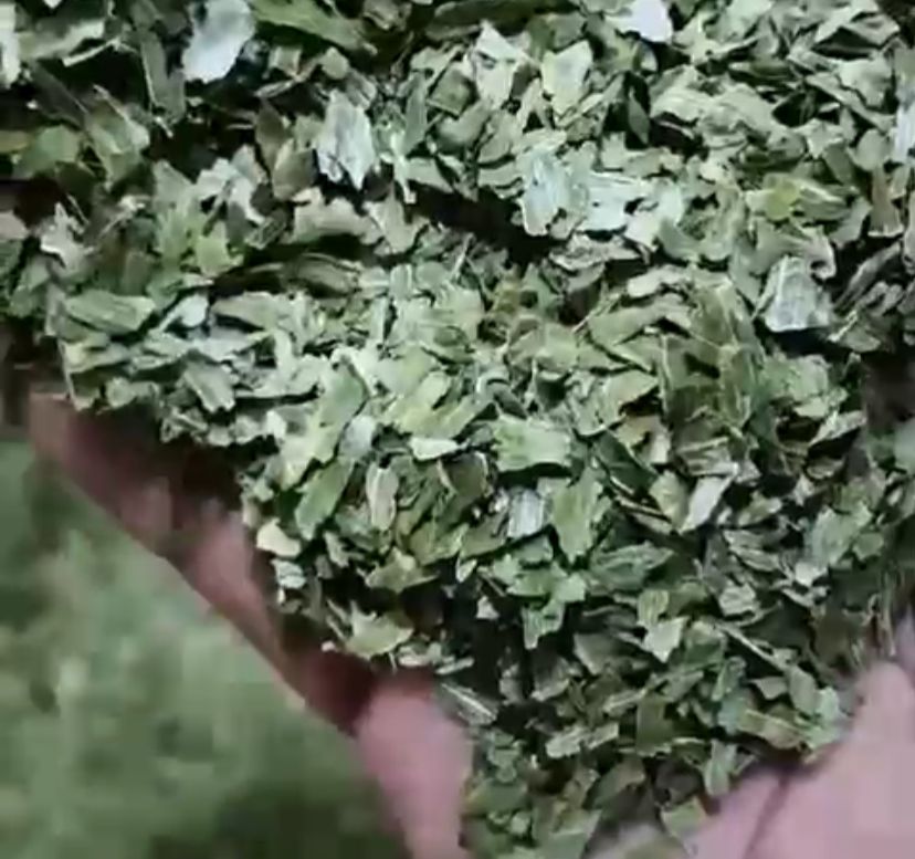 चाइव्स हर्ब पत्तियाँ