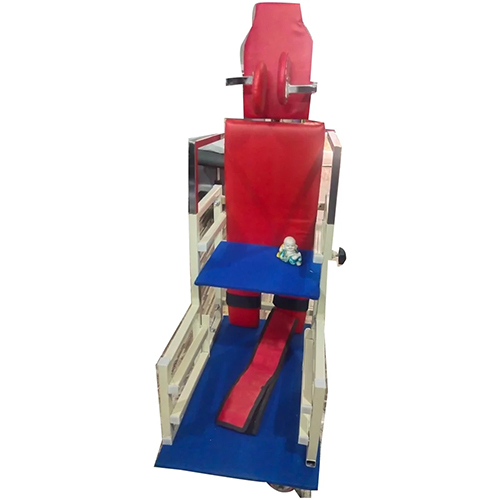 MS Exercise Equipment Standing Frame - Mild Steel, 450 Kg Capacity | Eco-Friendly, Powder Coated Finish, Indian Style Design