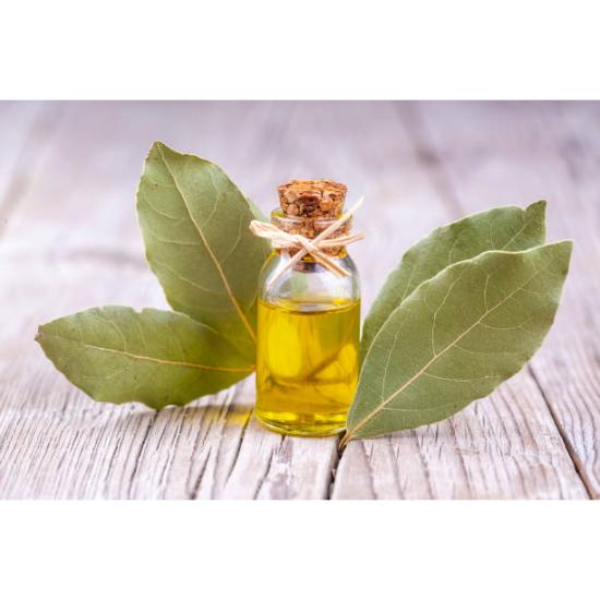 Bay Leaf Oil 