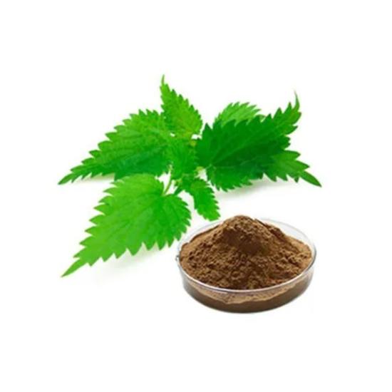 Urtica Dioica Extract - Grade: Pharma & Food Grade