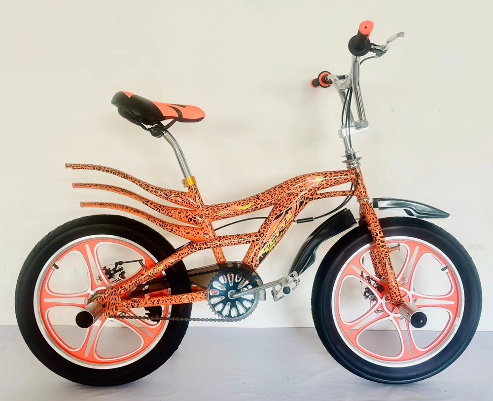 20 inch BMX bike for freestyle showing bike aluminum alloy frame