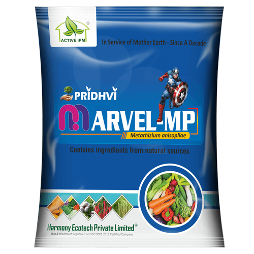 Marvel-Mp (Metarhizium Anisoplia) - Application: Agriculture