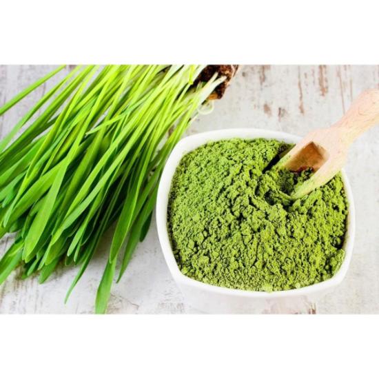  Wheat grass Powder( Triticum Vulgare Extract ) 