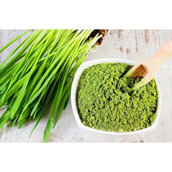 Wheat Grass Powder( Triticum Vulgare Extract ) - Grade: Pharma & Food Grade