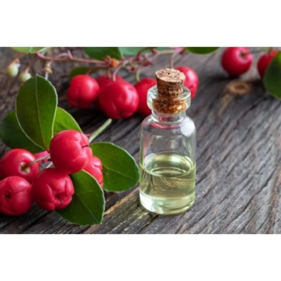 Wintergreen Oil ( Gaultheria procumbens Oil ) 