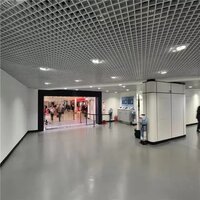 0.6mm Aluminum Ceiling Panel - 0.6mm Thickness, Brown Color, U Shape Pattern | Easy Installation, Durable, Minimal Maintenance, Colour Coated