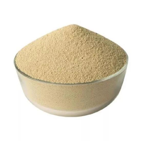 Xylanase Enzyme  Powder