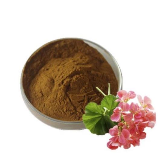 Geranium Extract - Purity(%): 100%