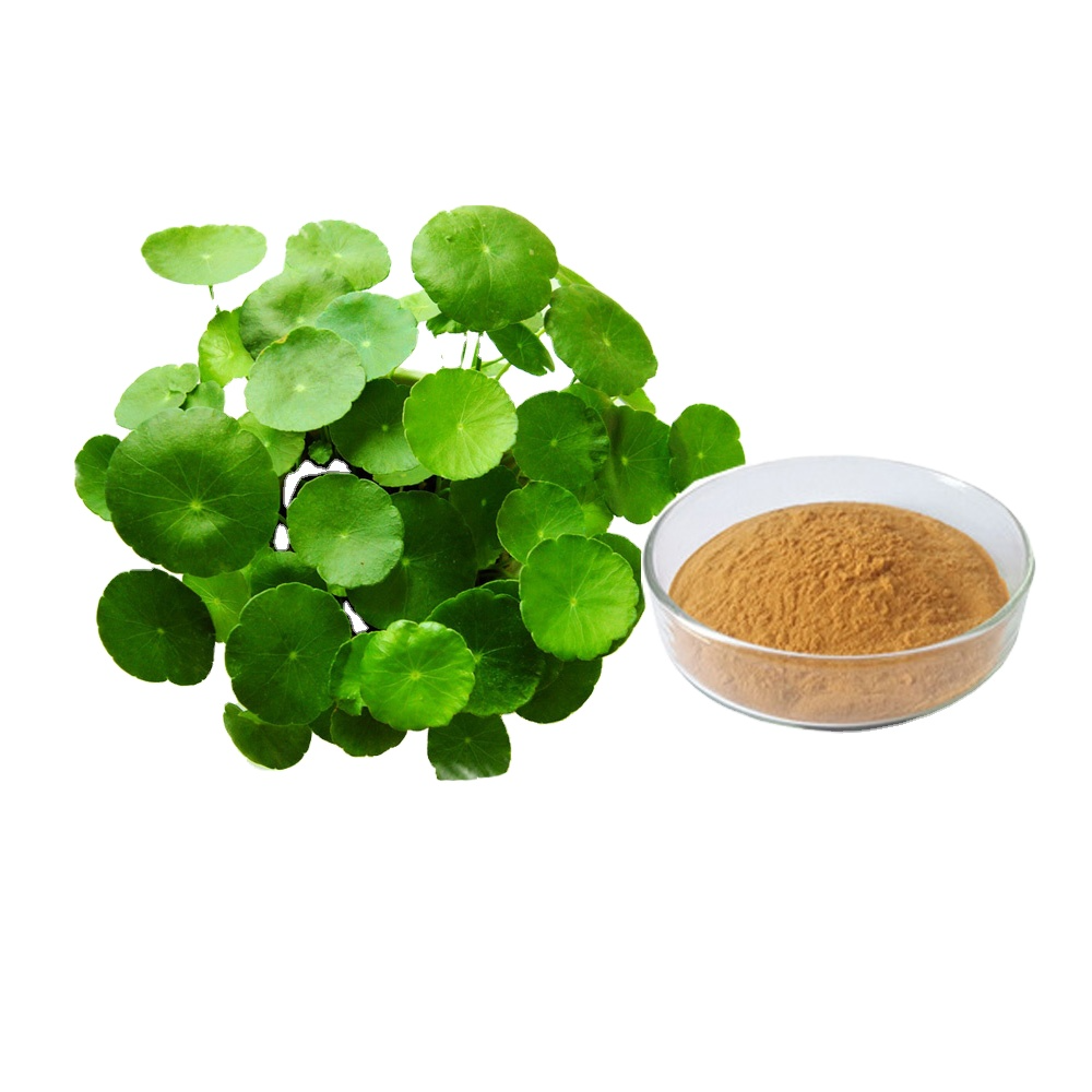 Centella Asiatica Extract (90-95%) - Product Type: Herbal Medicine