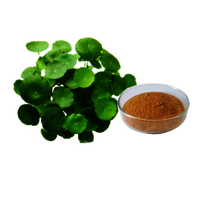 Centella asiatica Extract (90-95%)