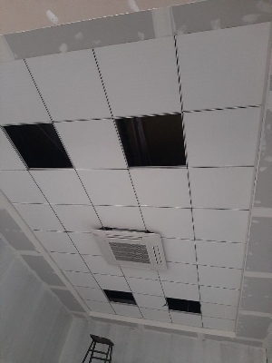 Grid Ceiling