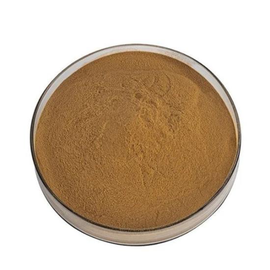 American skullcap Extract ( Scutellaria lateriflora Extract )