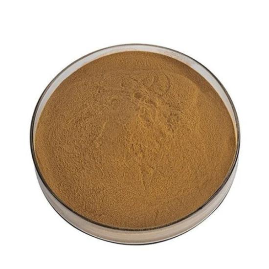 American Skullcap Extract ( Scutellaria Lateriflora Extract ) - Purity(%): 100%