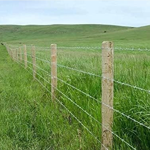 GI Barbed Wire