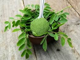Moringa Powder - Direction: As Per Instructions