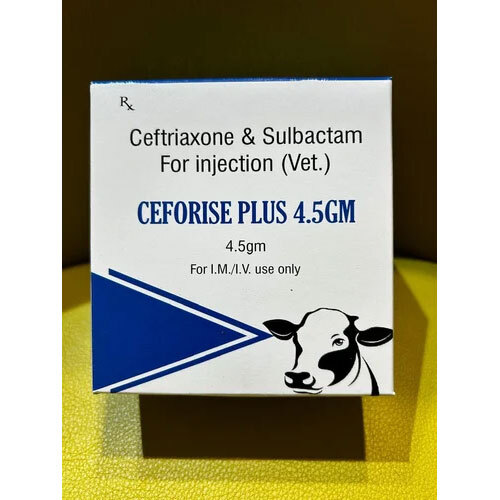 Ceftriaxone And Sulbactam For Injection