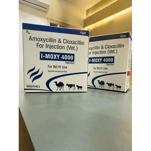 Amoxycillin Cloxacillin Injection