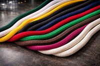 Multicolor Polyester Rope - Color: As Per Requirement