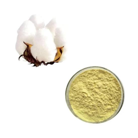 Arabian Cotton Powder 