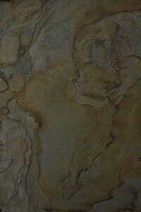 Veneer Sheet