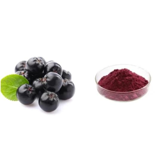 Aronia berries Extract (Aronia melanocarpa) 