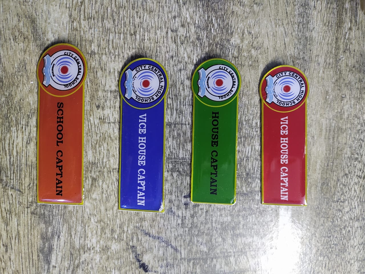 Customized School Name Badges