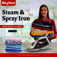 Steam Iron