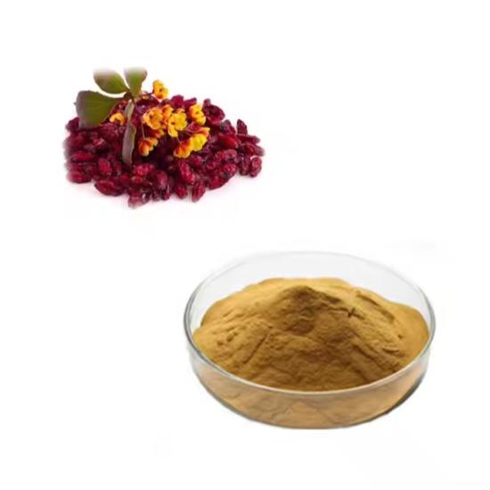 Barberry Extract (Berberis vulgaris)