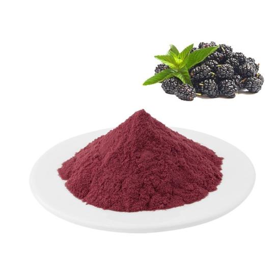 Blackberry Extract Powder