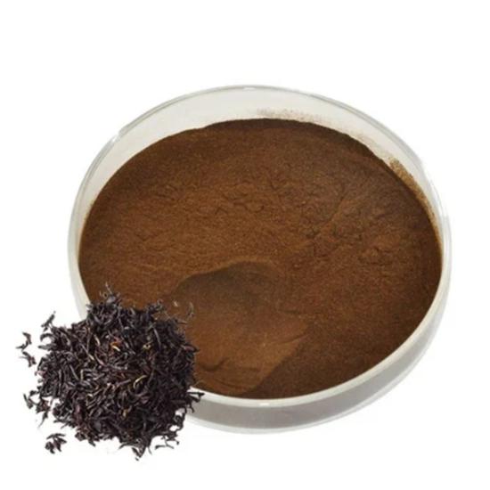 Black Tea Extract By Kshipra Biotech Private Limited