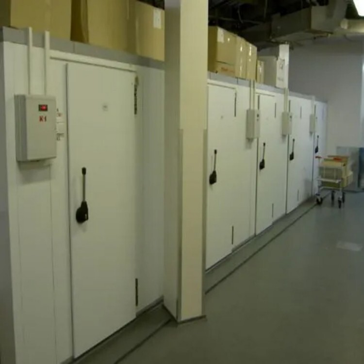Bluestar Cold Room - High-Quality White Finish, 3.05 Meter Length, 500 Kilogram Capacity | Advanced Energy-Efficient Refrigeration Technology