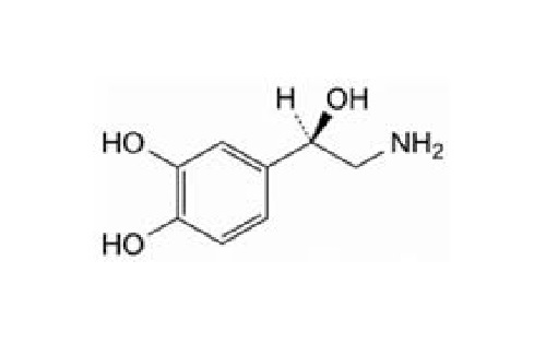 Adrenaline EP Impurity B