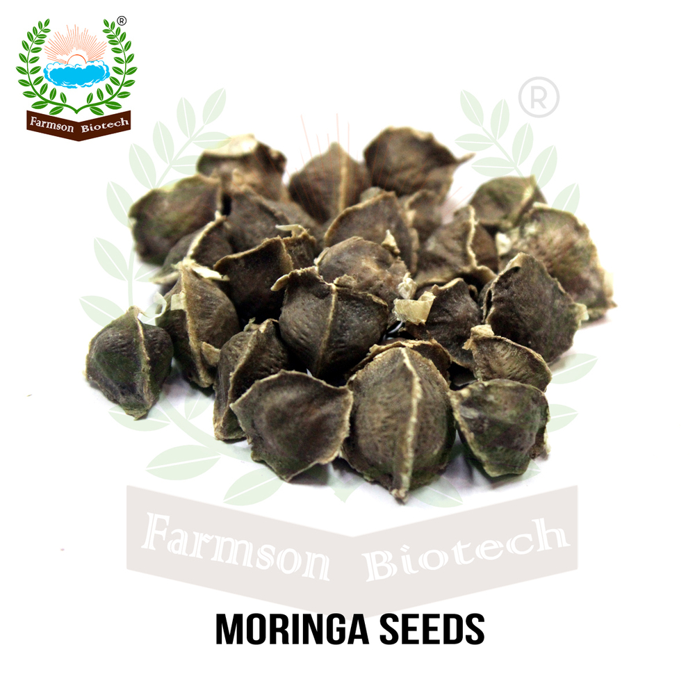 Moringa Seeds -Pkm 2 - Color: The Tree Bears Yellowish Creamy White Flowers That Are Bisexual With A Sweet Fragrance.