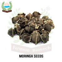 Moringa Seeds FB-PKM 2