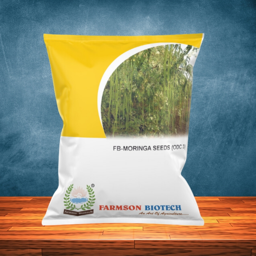 Moringa Seeds -Odc 3 - Color: Attractive Dark Green
