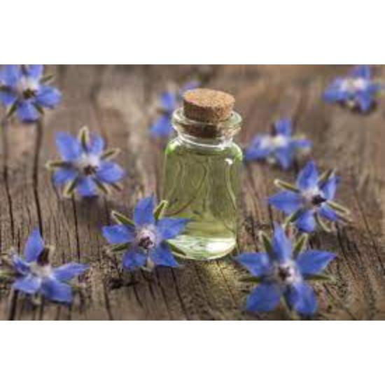 Borage Oil 