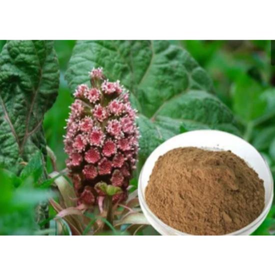 Butterbur Extract (Petasites hybridus..) 