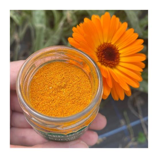 Calendula Powder (Calendula officinalis)