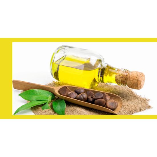 Camellia Oil - Age Group: All Age Group