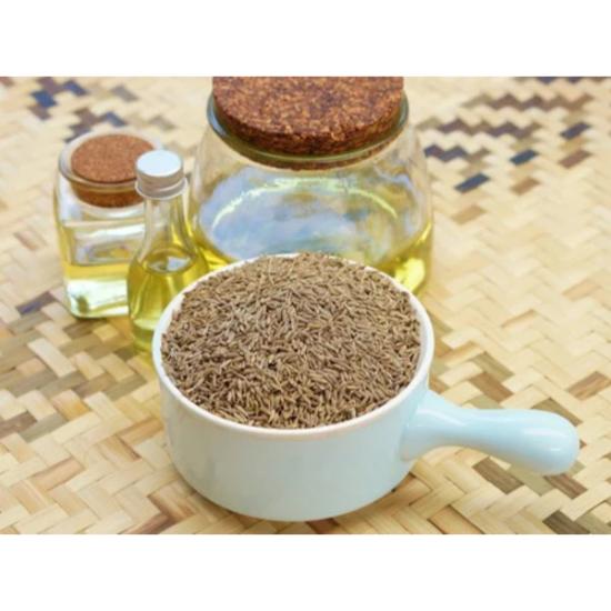 Caraway Oil
