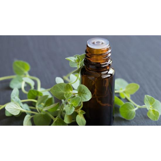 Carvacrol Oil