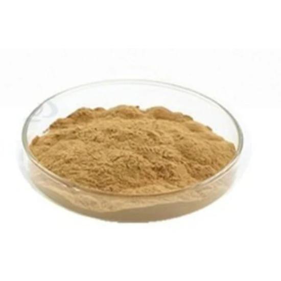 Catha edulis Extract  (khat) 