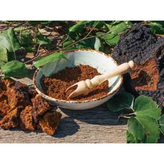 Chaga Mushroom Extract (Inonotus Obliquus)