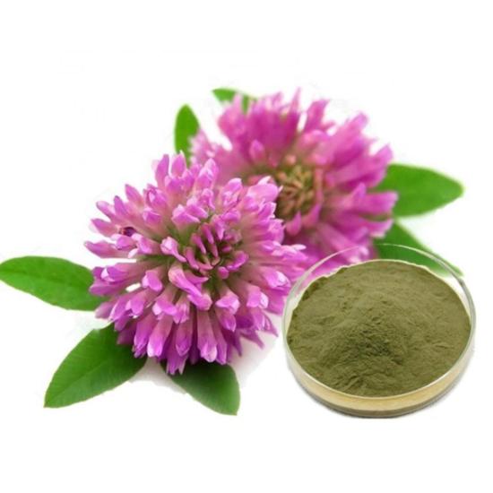 Trifolium Pratense Flower Extract