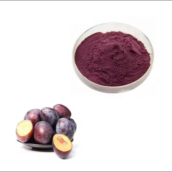 Common Plum Extract (Prunus domestica) 