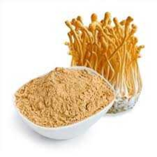 Cordyceps Millitaris Extract  