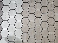 Acoustic panels, Sound insulation/absorbing decorative panels with Technology veneer