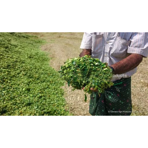 60 किग्रा साइलेज बेल्स