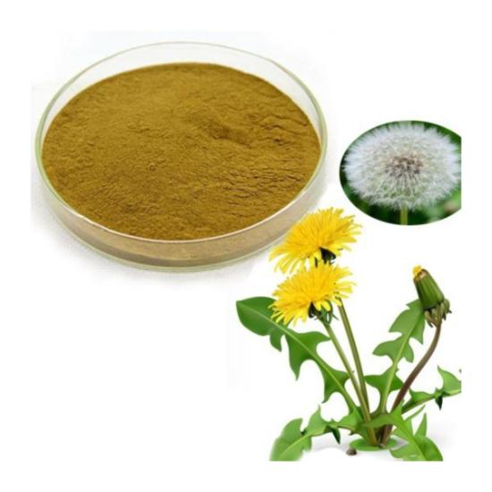 Dandelion Leaf Extract