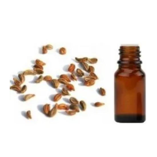 Datura Seed Oil 